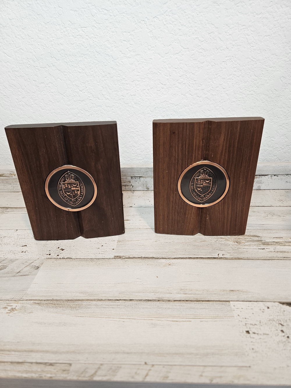 Vintage Louisiana College bookends